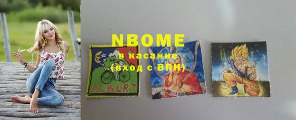 прущие грибы Алзамай