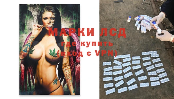 прущие грибы Алзамай