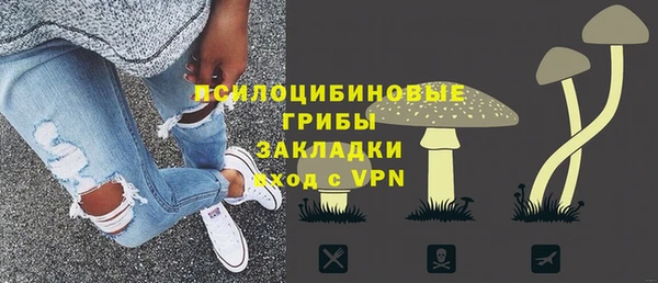 твердый Алексин