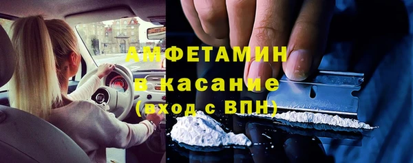 прущие грибы Алзамай